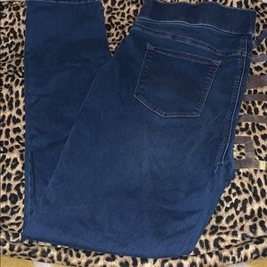 Women’s Sonoma Jeans New Without Tags: Size 16R